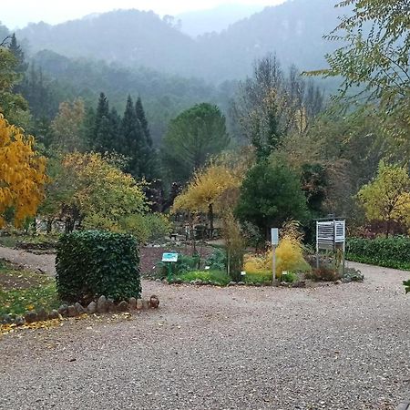 Alojamientos Bellavista Coto Ríos Zewnętrze zdjęcie