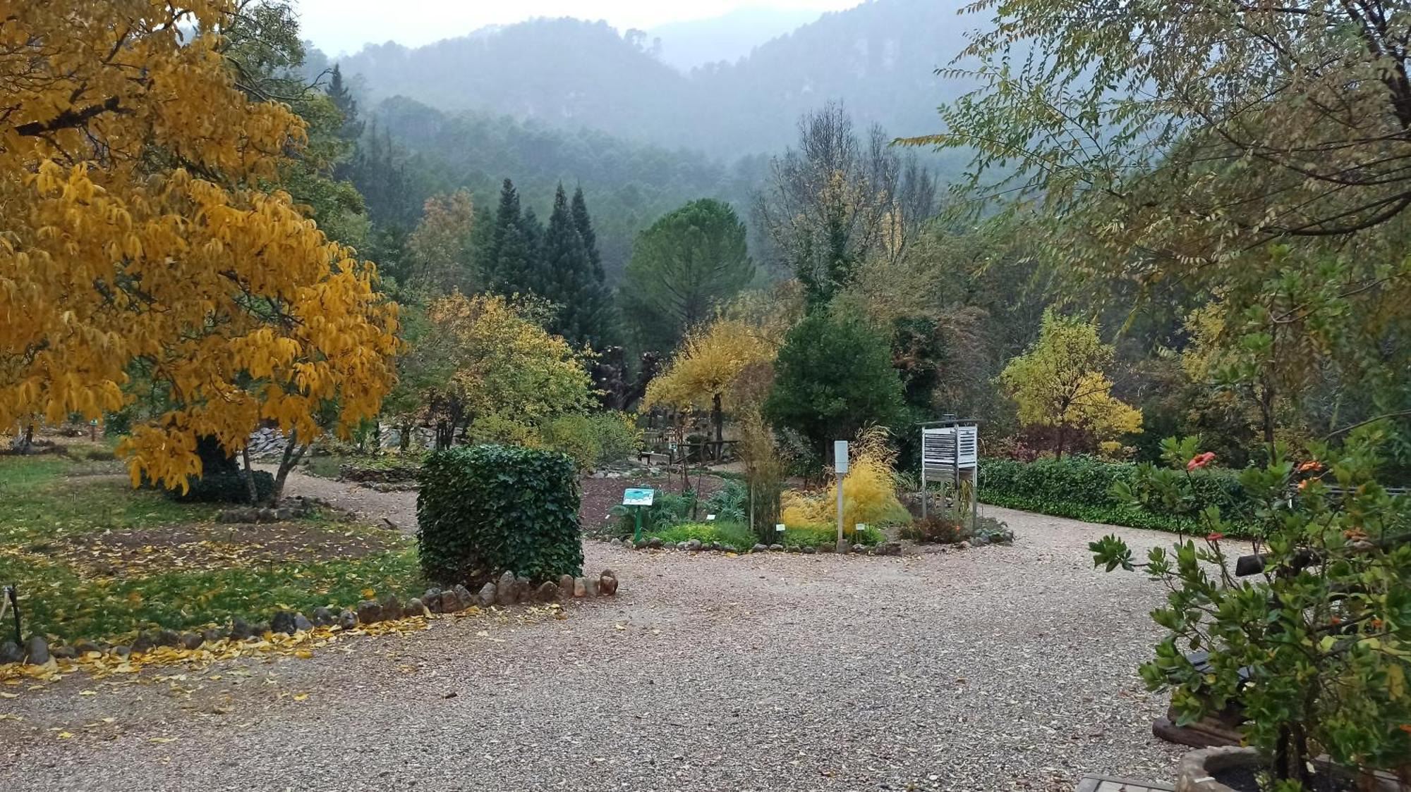 Alojamientos Bellavista Coto Ríos Zewnętrze zdjęcie