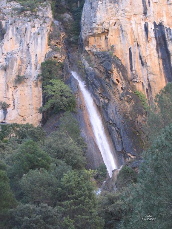 Alojamientos Bellavista Coto Ríos Zewnętrze zdjęcie